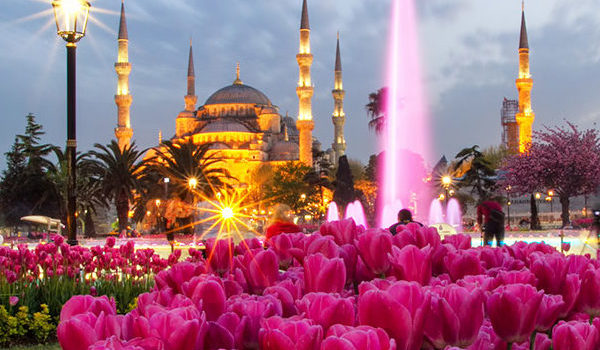 جشنواره گل استانبول