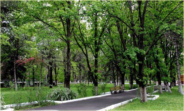 پارک جنگلی آتاتورک، مکانی عالی برای گذراندن روزی همراه با طبیعت در تور آنکارا