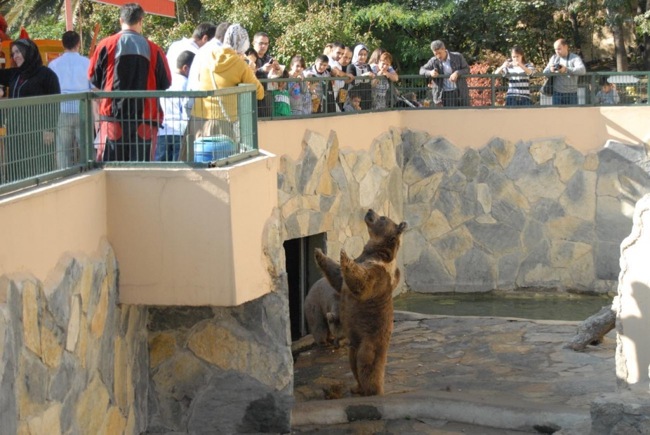 باغ وحش بسفروس استانبول ، بهترین و معتبرترین باغ وحش های استانبول