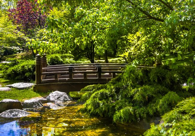 بازدید از زیبایی بی نظیر در باغ ژاپنی بالتالیمانی استانبول