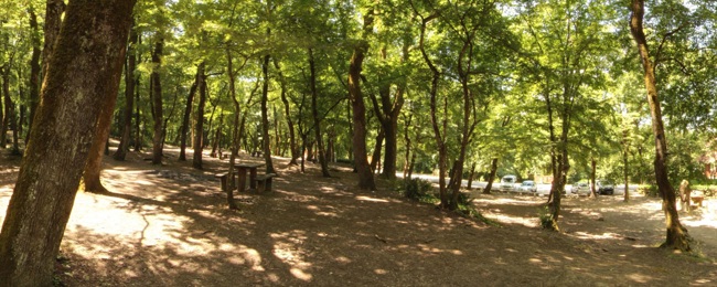 پارک جنگلی آیوات استانبول (Ayvad Bendi Milli Parkı) جنگلی زیبا در شمال استانبول
