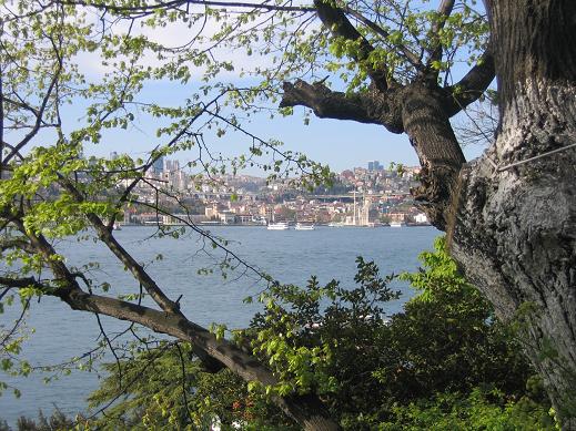تجربه گردشی دوست داشتنی در پارک فتحی پاشا استانبول Fethi Pasa