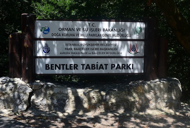 سفر به دل جنگل‌های استانبول در پارک ملی بنتلر استانبول bentler