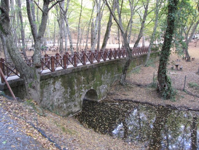 پارک جنگلی ایرماک استانبول، طعم زندگی  در دل طبیعت بکر( Irmak park Istanbul)
