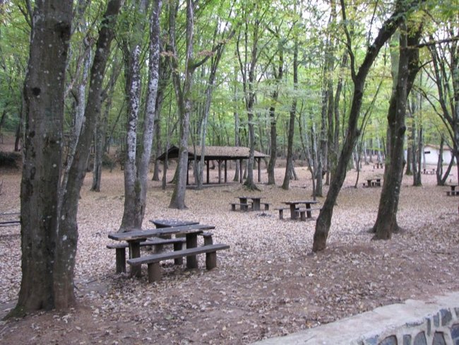 پارک جنگلی فالیح ریفکی آتای استانبول Falih Rıfkı Atay معجزه زیبای طبیعت