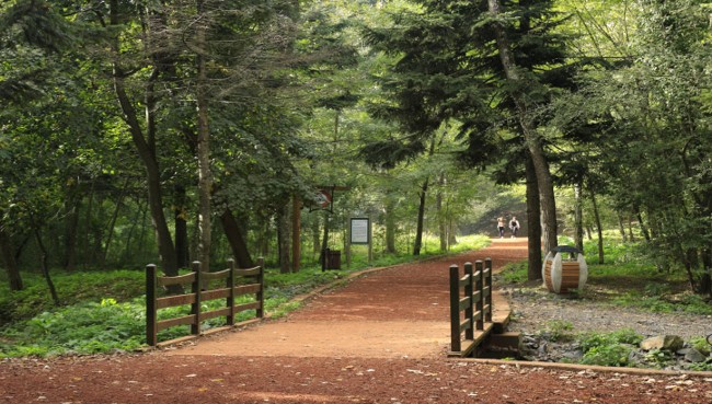پارک جنگلی نشت سویو استانبول Neşet Suyu Nature Park جلوگاه طبیعت زیبای استانبول